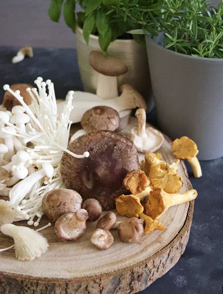 Vitalpilze