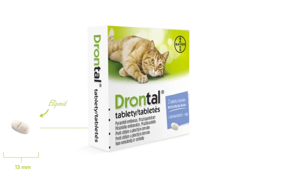 Drontal für Katzen und Kätzchen 2 Tabletten