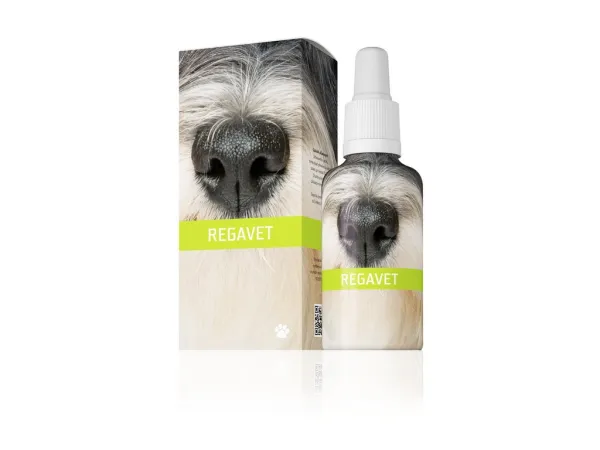 ENERGY Regavet Kräuterkonzentrat 30 ml