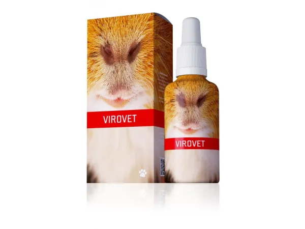 ENERGY Virovet Kräuterkonzentrat 30 ml