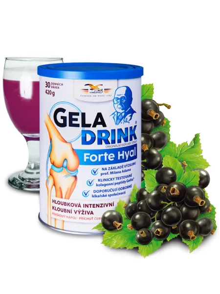Geladrink Forte Hyal Pulvergetränk Schwarze Johannisbeere 420 g