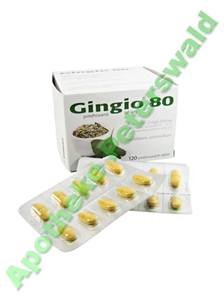 Gingio 80 mg 120 Tabletten
