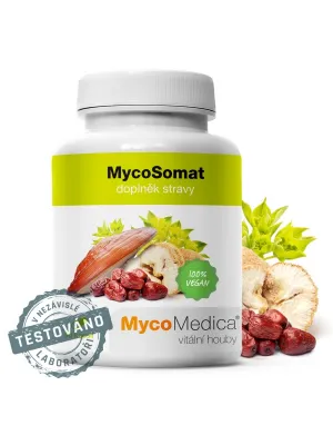MycoMedica MycoSomat 500 mg 90 Kapseln