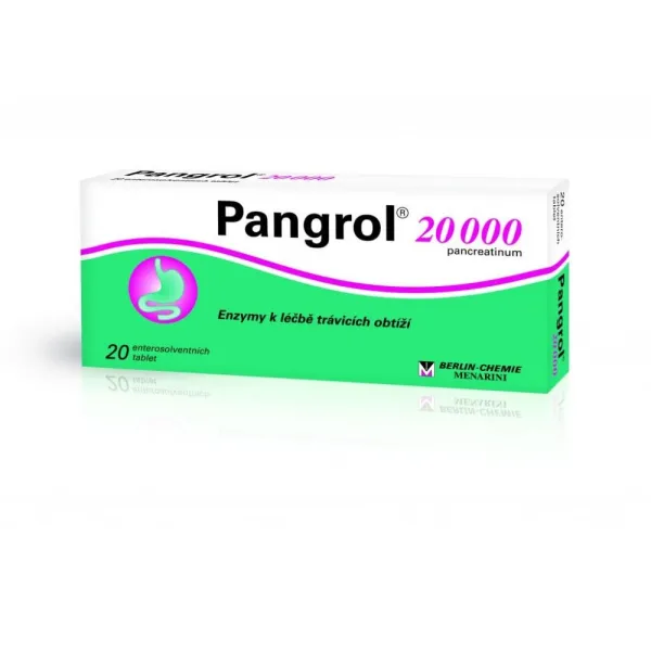 Pangrol 20000 20 Tabletten