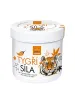 Annabis CannaHerbis Tygri sila (Tigerkraft) wärmende Hanfgel 275 ml