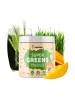 Blendea Super Greens Mango 90 g