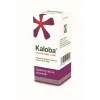 Kaloba Tropfen 20 ml - ähnlich wie Umckaloabo