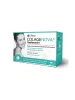 LIFTEA Colagenova Hyaluronic+ 30 Kapseln