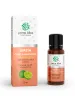 Limette - 100% ätherisches Öl 10 ml