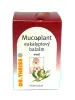 Mucoplant Eukalyptusbalsam 50 g