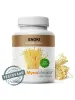 MycoMedica Enoki 30% 90 vegane Kapseln