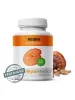 MycoMedica Reishi 30% 90 vegane Kapseln