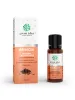 Nelke - 100% ätherisches Öl 10 ml