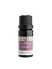 NOBILIS TILIA Kommunikation Ätherische Ölmischung 10 ml
