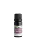 NOBILIS TILIA Winterabend Ätherische Ölmischung 10 ml