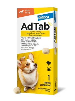Eine kleine, aromatisierte Kauta...
