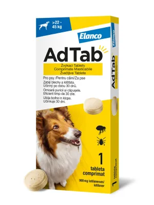 Eine kleine, aromatisierte Kauta...