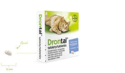 Wurmkur für Katzen