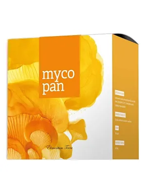 Das Naturprodukt Mycopan enthält...