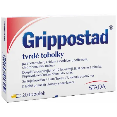 Behandlung von Grippe oder Erkäl...