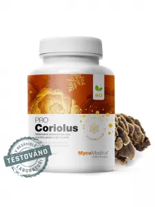 MycoMedica BIO Coriolus PRO 500 mg 90 pflanzliche Kapseln