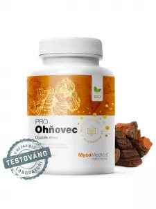 MycoMedica BIO Feuerschwamm PRO 500 mg 90 pflanzliche Kapseln