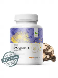 MycoMedica BIO Polyporus PRO 500 mg 90 pflanzliche Kapseln