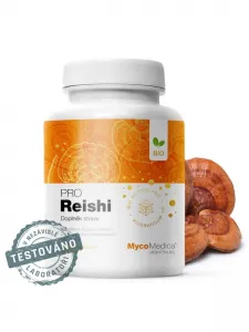 MycoMedica BIO Reishi PRO 500 mg 90 pflanzliche Kapseln