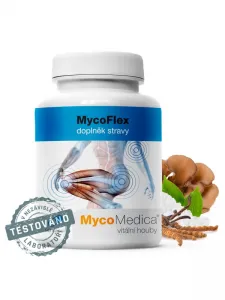 MycoMedica MycoFlex 730 mg 90 Kapseln