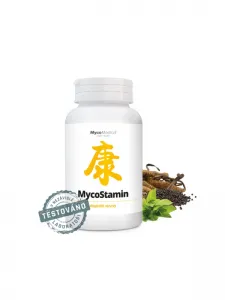 MycoMedica MycoStamin 350 mg 180 Tabletten