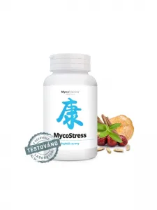 MycoMedica MycoStress 350 mg 180 Tabletten
