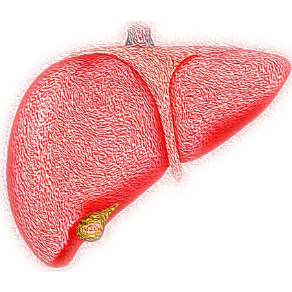 Die Gelbsucht - Wie gefährlich ist sie und was hilft? Die Gelbsucht - Wie gefährlich ist sie und was hilft?