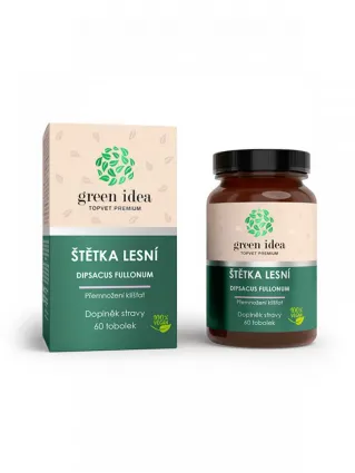 DIPSACUS FULLONUM L. – Wilde Karde DIPSACUS FULLONUM L. – Wilde Karde