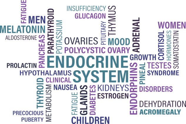 Hypothyreose - Wenn die Schilddrüse aufhört zu arbeiten Hypothyreose - Wenn die Schilddrüse aufhört zu arbeiten
