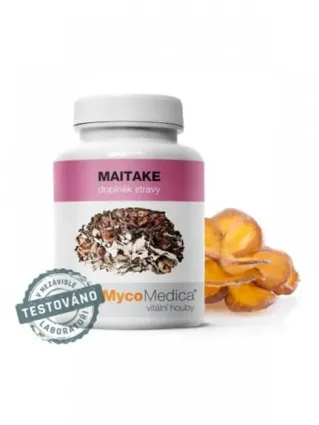 Maitake - Grifola frondosa, der Gemeine Klapperschwamm oder Laubporling Maitake - Grifola frondosa, der Gemeine Klapperschwamm oder Laubporling